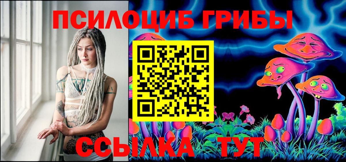 Псилоцибиновые грибы прущие грибы Кингисепп